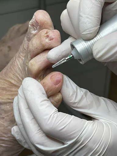 Podoświat - Podolog Wrocław